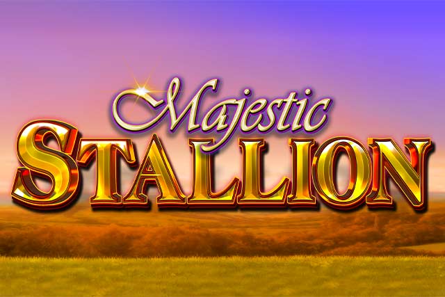 Majestic Stallion