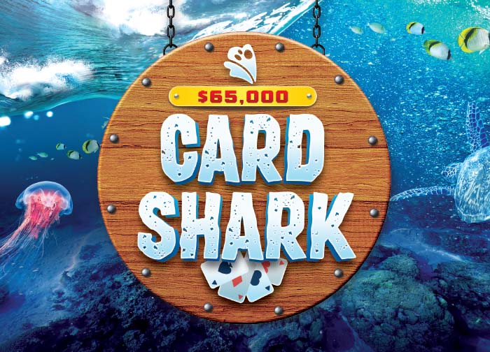 cardshark-promo-700x504 (3)